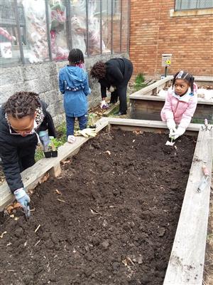 Students digging and planting in raised garden